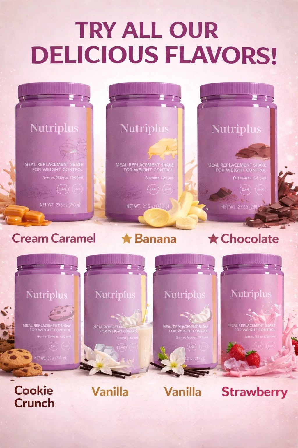 NUTRIPLUS MEAL REPLACEMENT SHAKES
